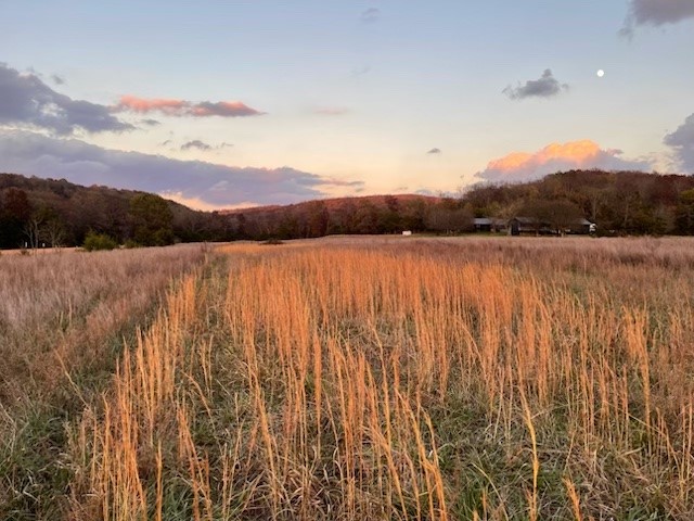 Looking for a fabulous piece of land that offers privacy and seclusion yet within about 15 minutes to Elkins? This one is worth looking at. The land is open and flat - a great place to build a home. Come out and take a walk - see all the possibilities!
