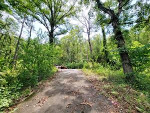 Perfect spot to rebuild a home or put a mobile on. With a little clean up this lot will be a great location for a home. It joins National Forest on the back side. And for a bonus the land (4.7 acres) next to this is also for sale and could be bought together for a total of 9+ acres. MLS#23-