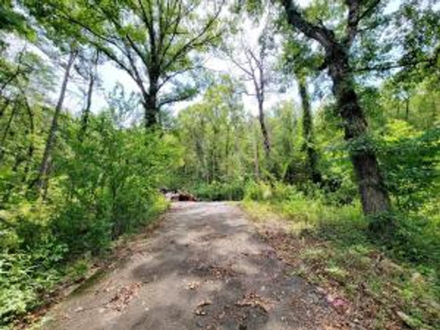 Perfect spot to rebuild a home or put a mobile on. With a little clean up this lot will be a great location for a home. It joins National Forest on the back side. And for a bonus the land (4.7 acres) next to this is also for sale and could be bought together for a total of 9+ acres. MLS#23-