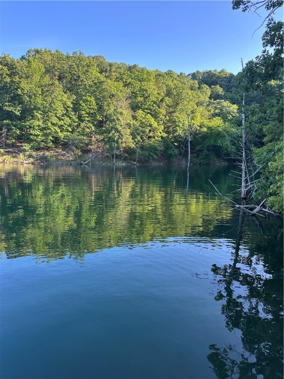 Want your little piece of Paradise on Beaver Lake? Over 1000 feet of Corp Line. Wet weather creek and spring, cave or bluff shelter, and drive down access on this 5.777 acre lakefront property. Has Rural water to property corner, that saves you Thousands of Dollars in drilling a well. Developed, your best building site will look right down the Cove to the main channel. Use LandGlide.com app to explore this property by land or by lake. Not many of these Gems out there so don't miss your chance.