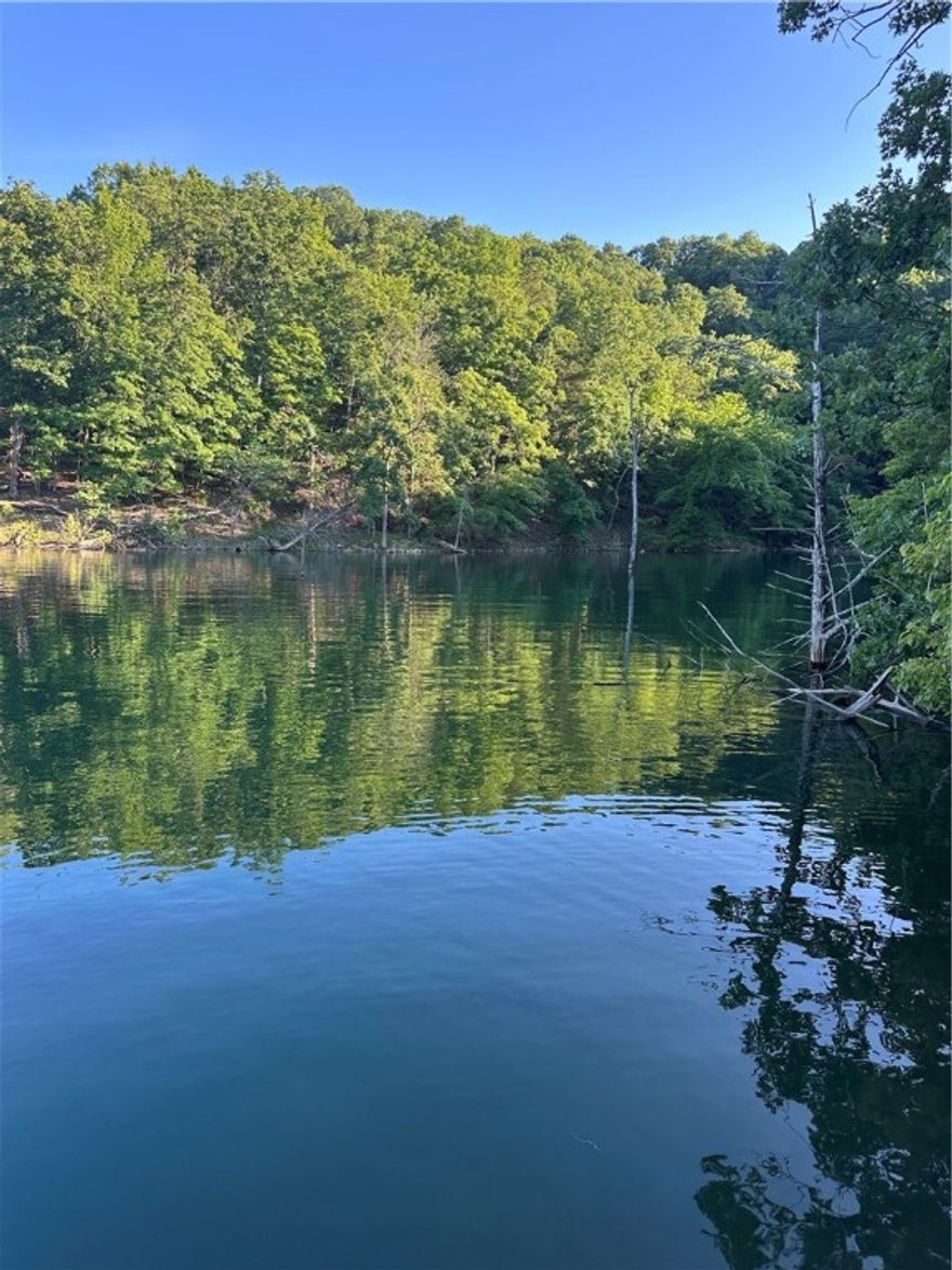 Want your little piece of Paradise on Beaver Lake? Over 1000 feet of Corp Line.  Wet weather creek and spring, cave or  bluff shelter,  and drive down access on this 5.777 acre lakefront property.  Has Rural water to property corner, that saves you Thousands of Dollars in drilling a well.   Developed, your best building site will look right down the Cove to the main channel. Use LandGlide.com app to explore this property by land or by lake. Not many of these Gems out there so don't miss your chance.