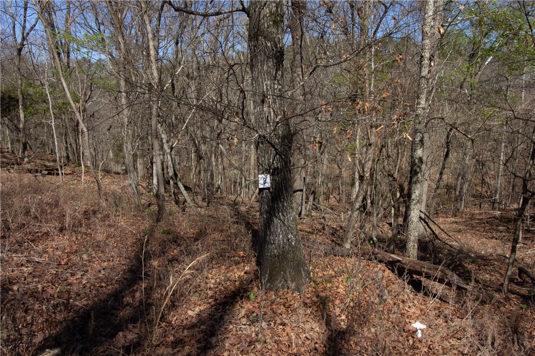 Tanglewood Resort No-2 Rurban - Land