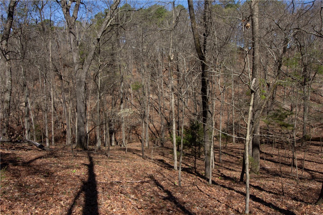 Tanglewood Resort No-2 Rurban - Land