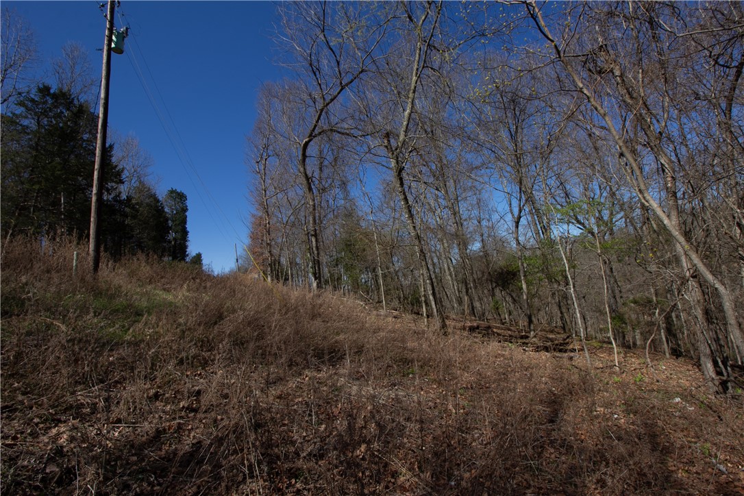 Tanglewood Resort No-2 Rurban - Land