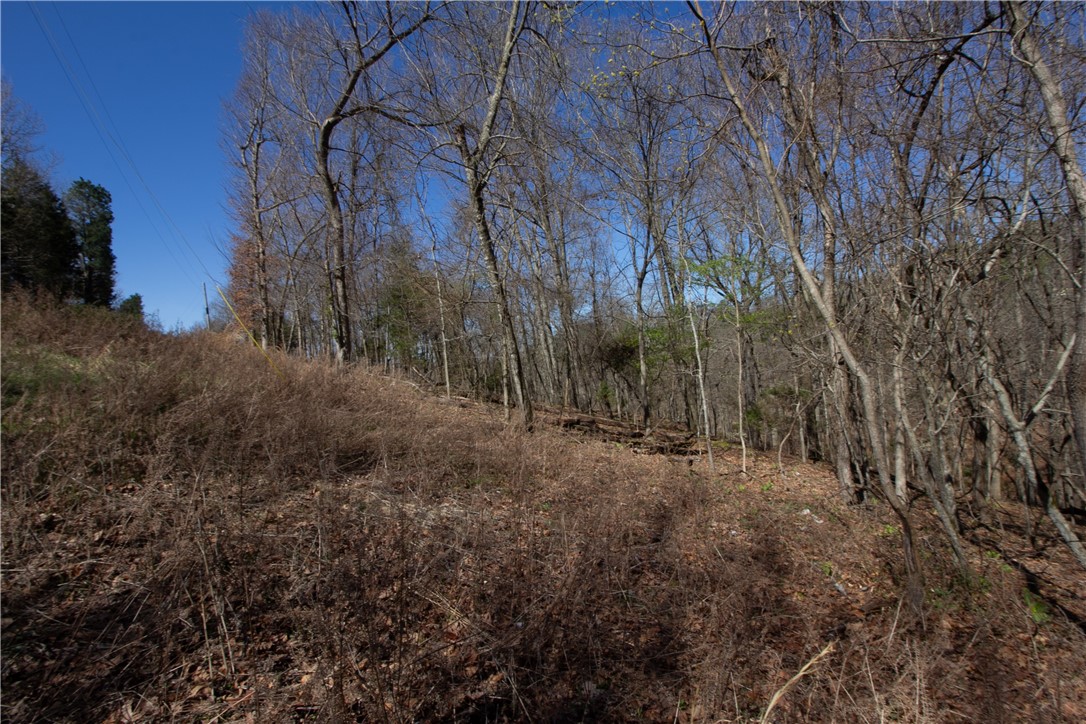 Tanglewood Resort No-2 Rurban - Land