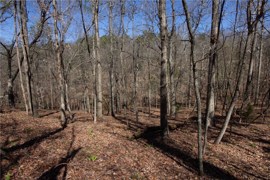 Tanglewood Resort No-2 Rurban - Land