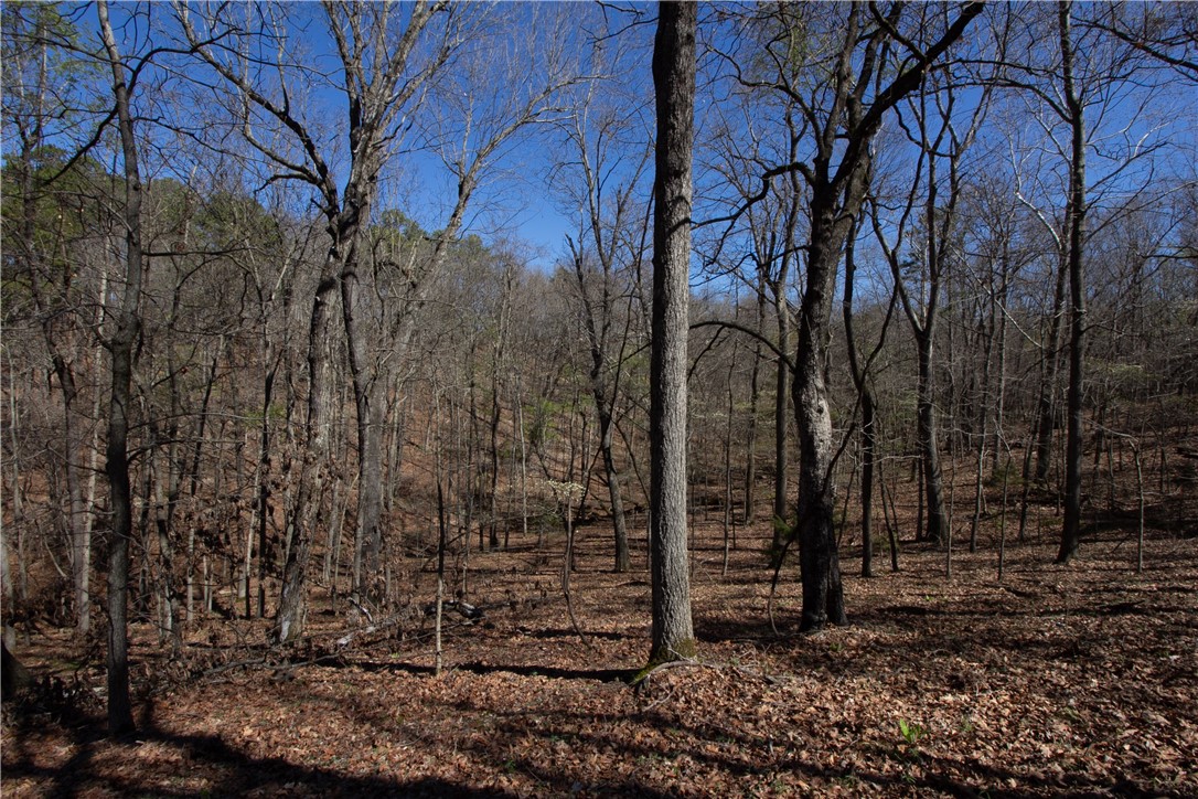 Tanglewood Resort No-2 Rurban - Land