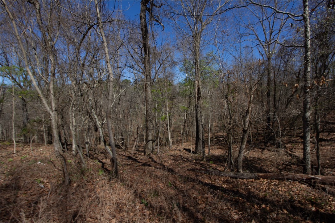 Tanglewood Resort No-2 Rurban - Land