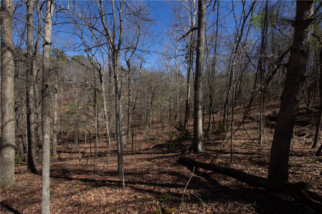 Tanglewood Resort No-2 Rurban - Land