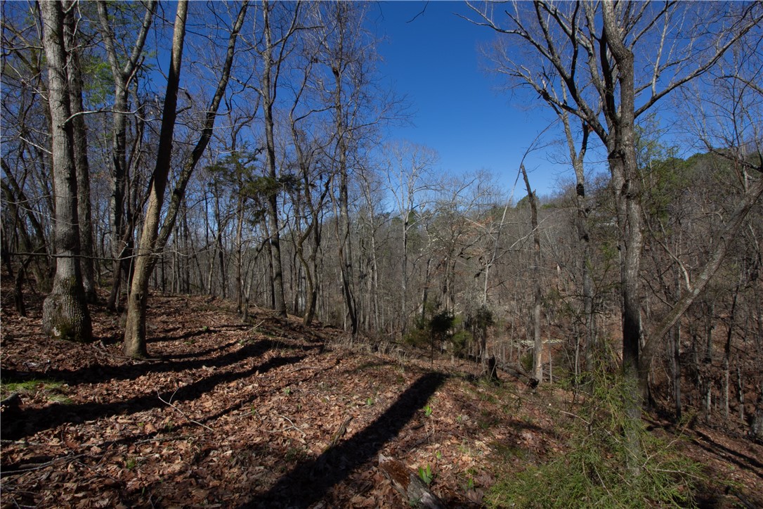 Tanglewood Resort No-2 Rurban - Land