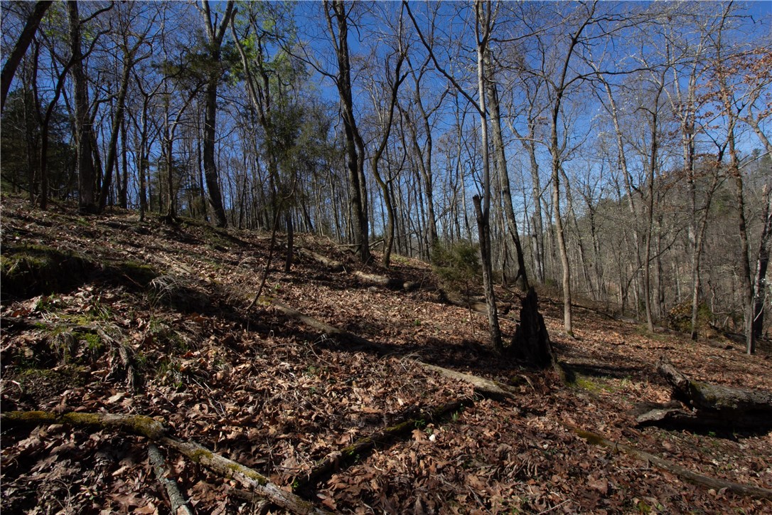 Tanglewood Resort No-2 Rurban - Land