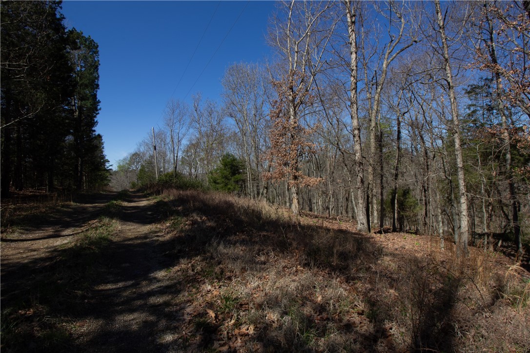 Tanglewood Resort No-2 Rurban - Land