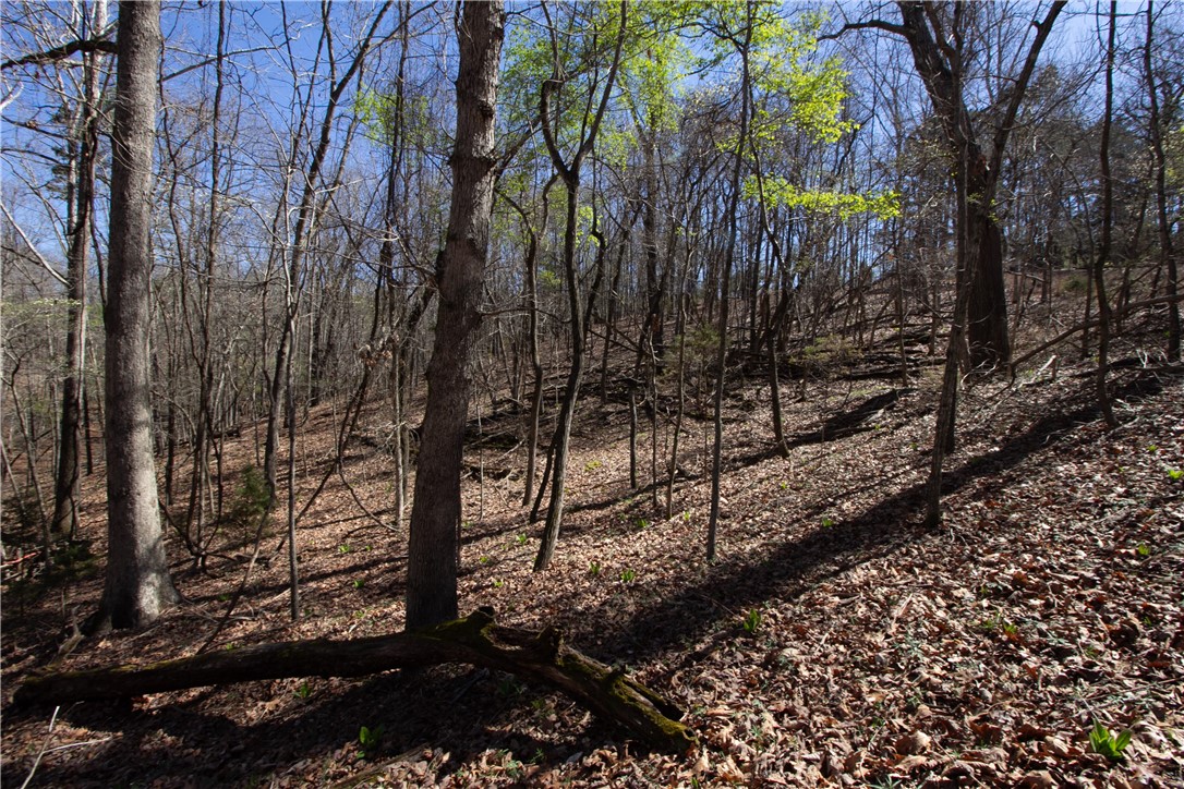 Tanglewood Resort No-2 Rurban - Land