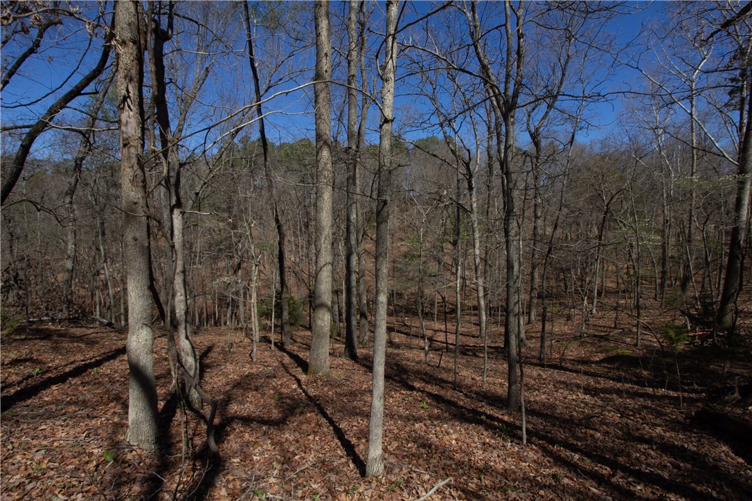 Tanglewood Resort No-2 Rurban - Land