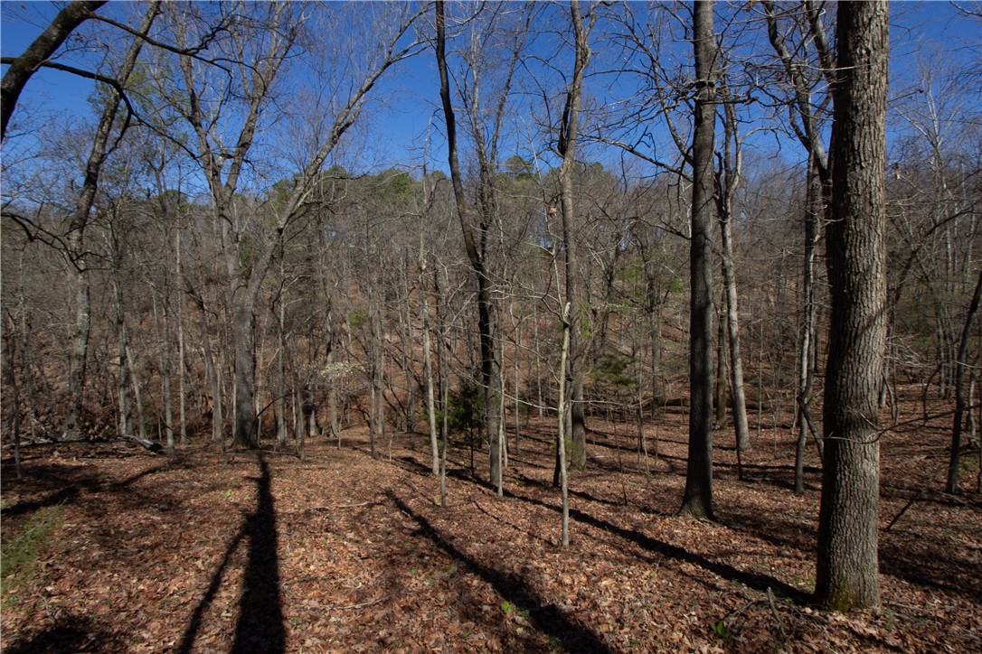 Tanglewood Resort No-2 Rurban - Land