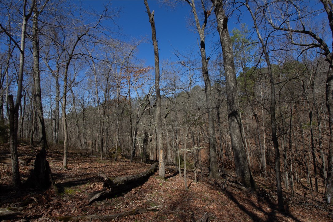 Tanglewood Resort No-2 Rurban - Land