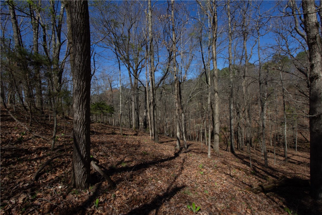 Tanglewood Resort No-2 Rurban - Land