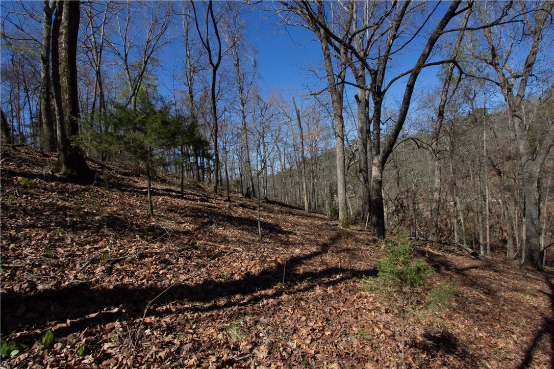 Tanglewood Resort No-2 Rurban - Land