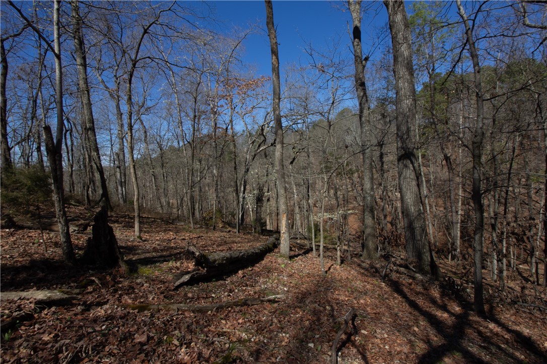 Tanglewood Resort No-2 Rurban - Land