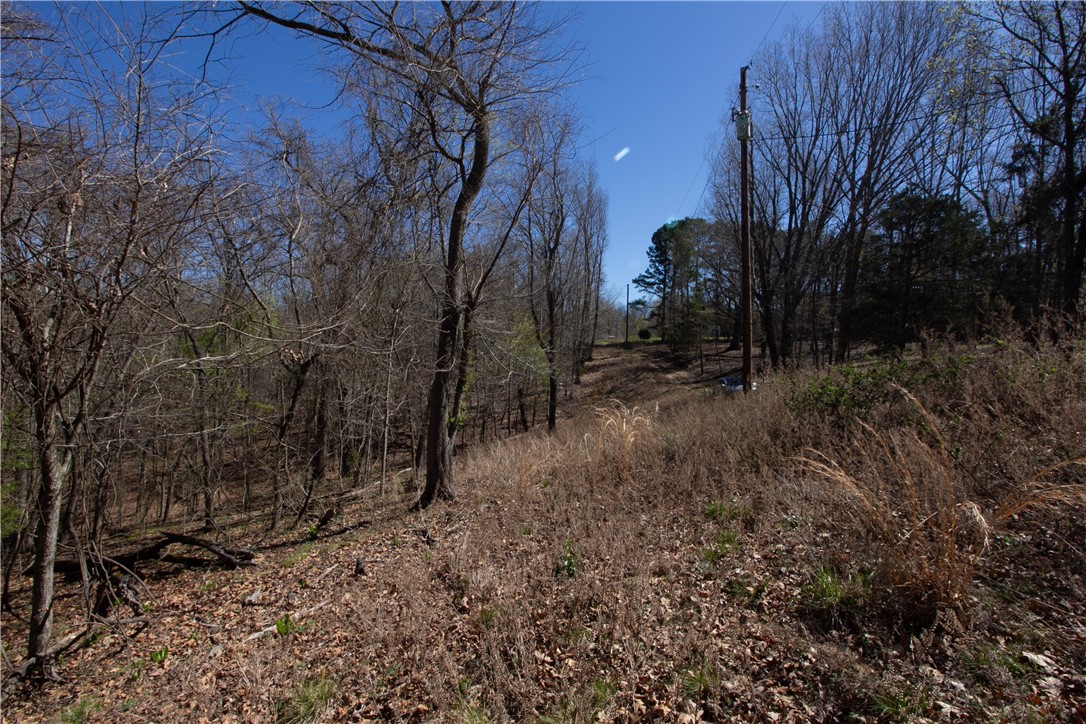 Tanglewood Resort No-2 Rurban - Land