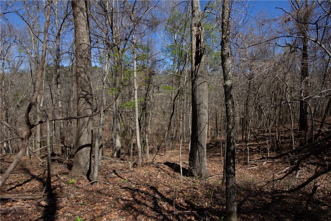 Tanglewood Resort No-2 Rurban - Land