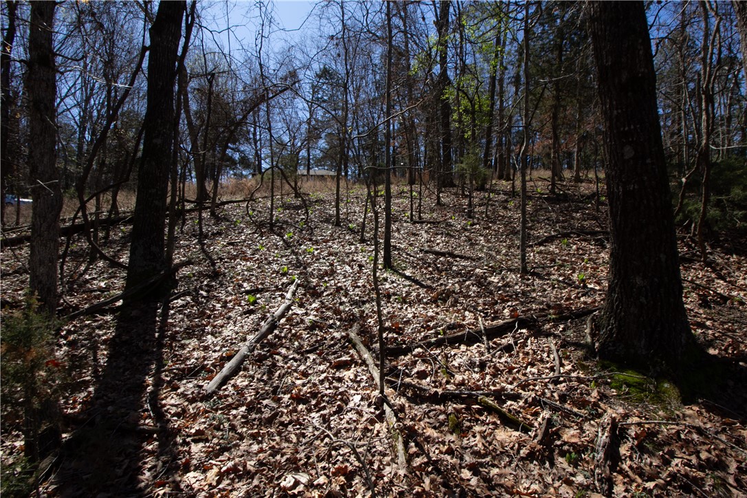 Tanglewood Resort No-2 Rurban - Land