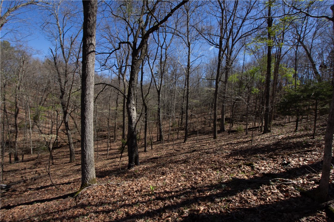 Tanglewood Resort No-2 Rurban - Land