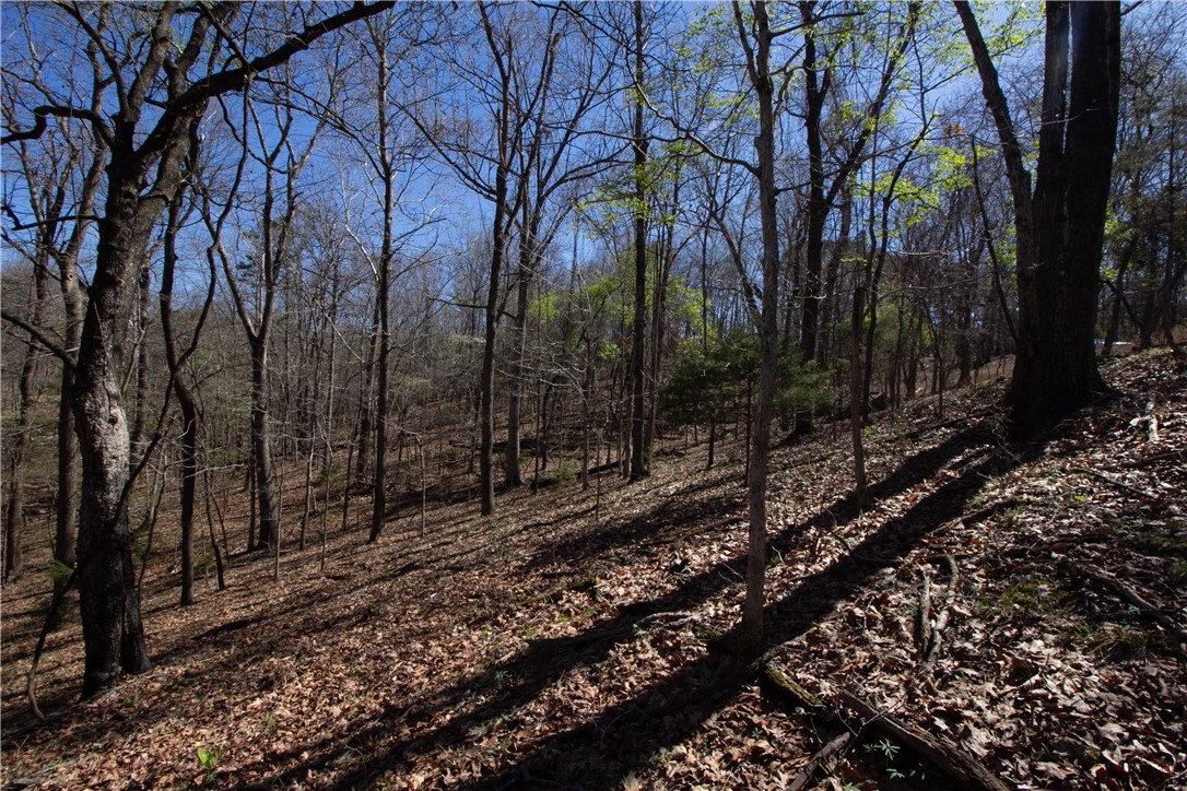 Tanglewood Resort No-2 Rurban - Land