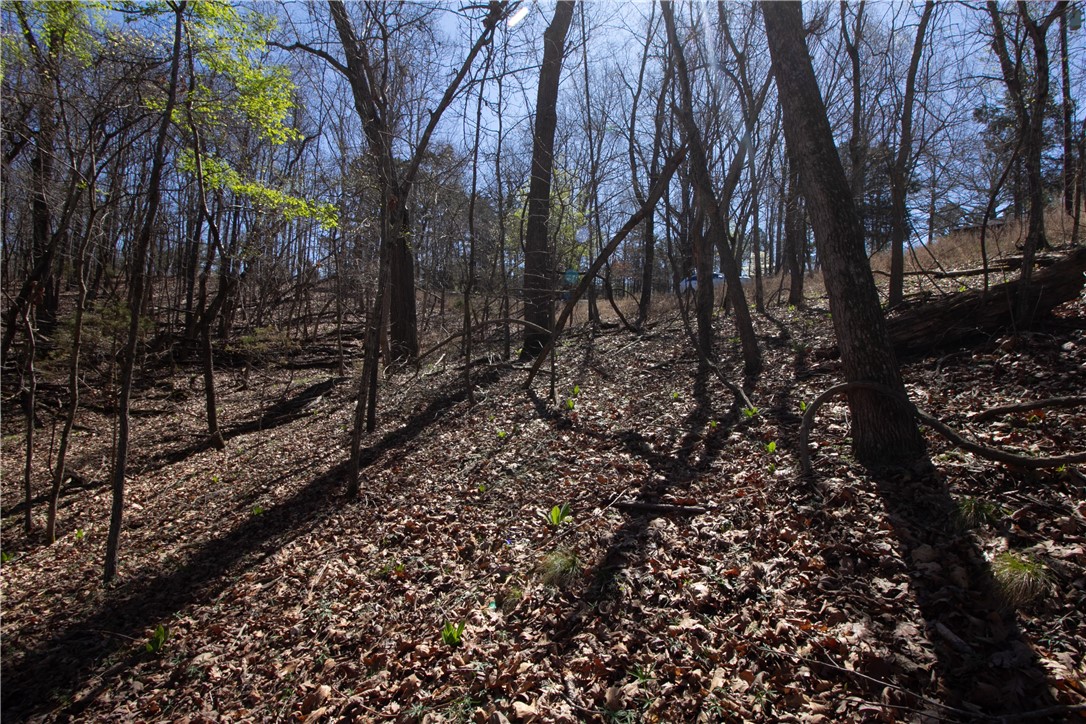 Tanglewood Resort No-2 Rurban - Land