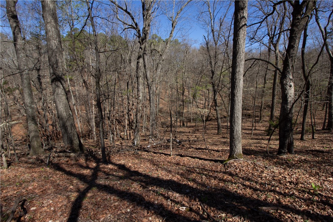 Tanglewood Resort No-2 Rurban - Land