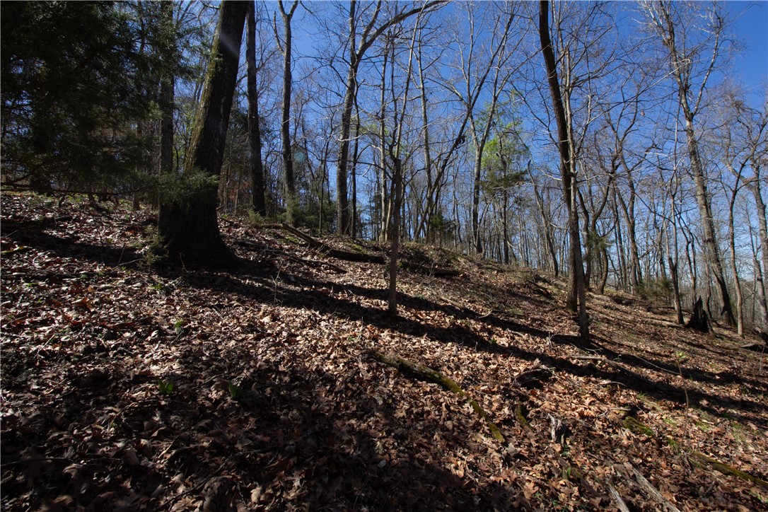 Tanglewood Resort No-2 Rurban - Land