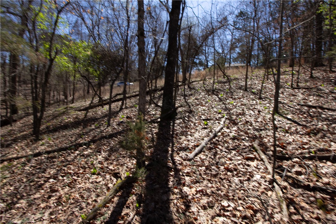 Tanglewood Resort No-2 Rurban - Land