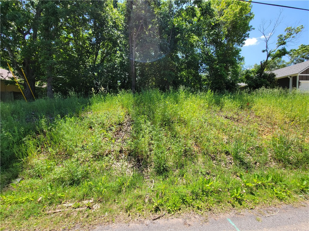 This LEVEL lot has access to SEWER and is located in a coveted part of Bella Vista where you will have quick and easy access to mountain bike trails such as the Back 40 and paved trails for walking and bicycling. This is just down the road from the Metfield golf course & clubhouse. From here, you can quickly be in downtown Bentonville or on the interstate. Bentonville schools.