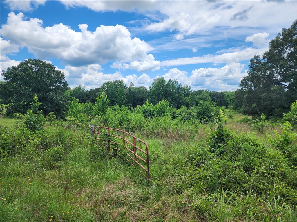Other Subdivision - Land