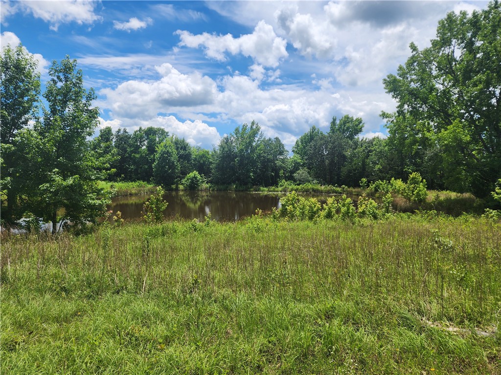 This is the dream spot to build your next home! Absolutely beautiful land that fronts the county road for utilities on one side, and fronts two big ponds on the back of the property and borders a third pond on one side. Mostly cleared, but some big hardwoods. There is so much that can be done, this is a truly hard to find piece of land. Call for directions today!