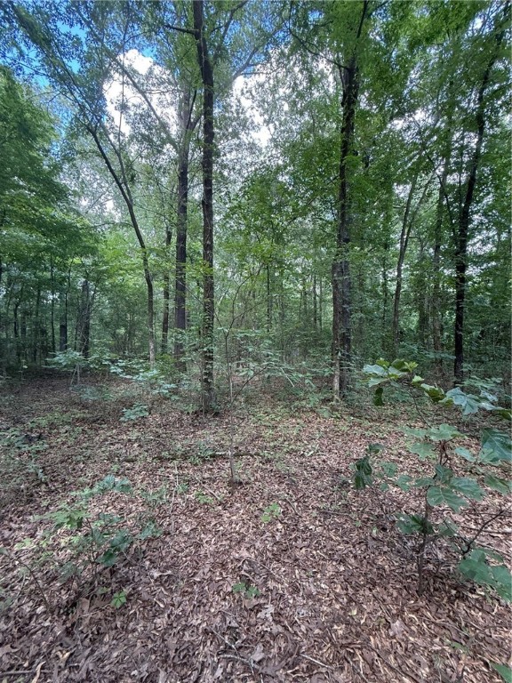 Discover the perfect blend of privacy and accessibility with this stunning 10.29-acre wooded property located directly on Hwy 64. Whether you're dreaming of building your custom home, a private retreat, or exploring development opportunities, this expansive parcel offers a wealth of possibilities. Electricity is nearby, making the development process that much easier. Enjoy the serenity of rural living while still being conveniently close to town amenities, schools, and major routes. Don't miss out on this rare opportunity to own a sizable tract of land with exceptional potential in a growing area!