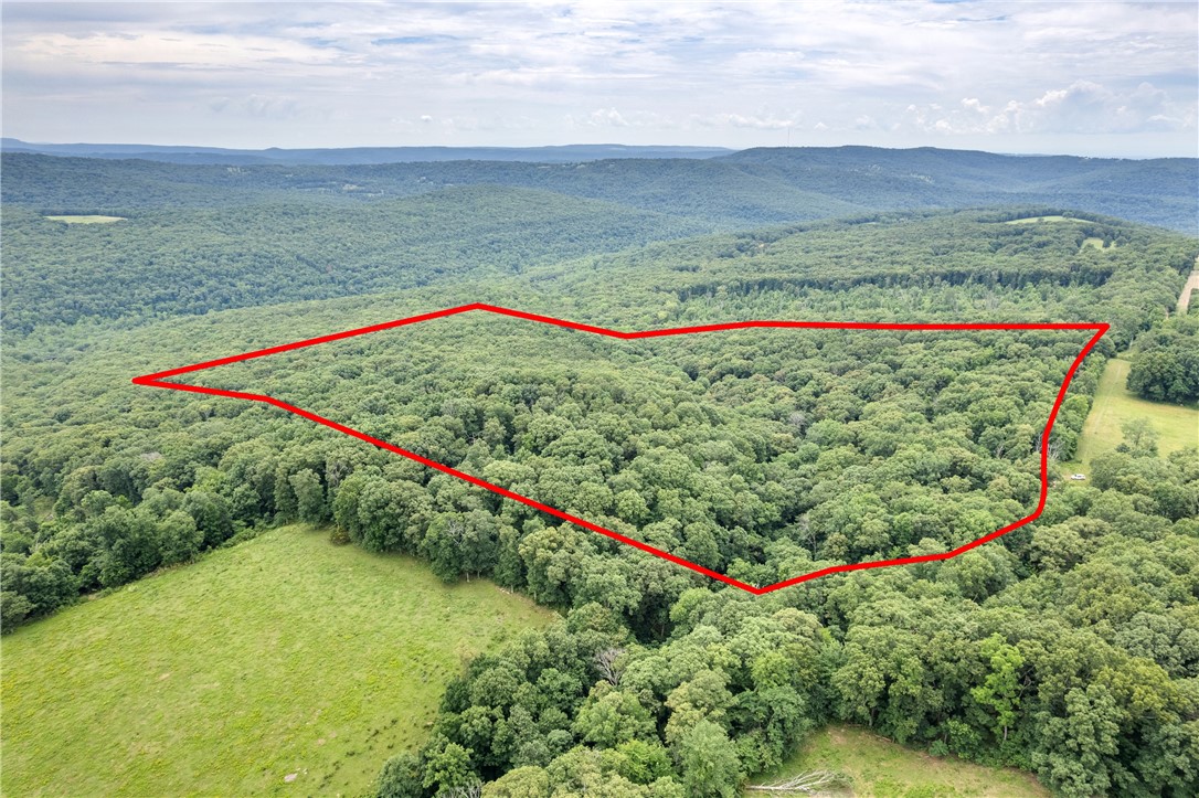 Rare opportunity to own 47 versatile acres on peaceful Lucky Road in Winslow, AR. Whether you're an investor seeking long-term potential, a developer looking for buildable land, or someone dreaming of a private retreat, this property offers endless possibilities. Mature timber makes it ideal for homesteading, hunting, or recreational use. The gently rolling terrain, abundant wildlife, and natural beauty provide the perfect setting for outdoor adventure or a custom home site. With no restrictions and easy access to I-49, this land is well-suited for future development or off-grid living. Enjoy the quiet charm of rural Arkansas with the convenience of being just a short drive from town. Donāt miss this investment-grade acreage with room to grow, build, explore, or simply escape.