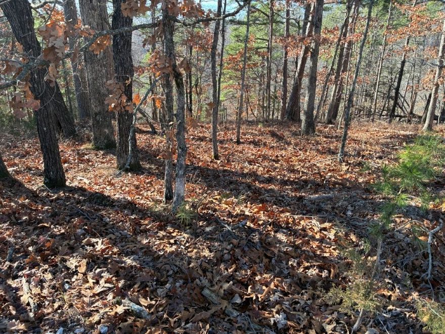 Scenic Beaver Lake area, minutes to Rocky Branch Marina. 0.95(+/-) acres with easy access to boating, fishing etc. 15 minutes from downtown Rogers on paved roads. Steep lot but only drops 20' in first 100'. Ideal for walkout. Perfect for weekend getaway or permanent residence.