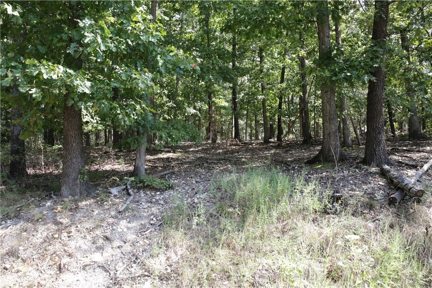 Beautiful level perc-tested lot in a neighborhood of quality homes. Just a mile from world-class mountain biking on the Back 40 plus paved Blowing Springs trail and the new Oz Trails Bike Park. Enjoy Bella Vista amenities:  golf, lakes, and clubhouses while being close to town and the new Walmart Home Office. The perfect blend of recreation and convenience awaits.