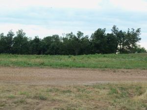 Buffalo River National Park is across the highway. Nice view. 21.76 near trail-heads & canoe put-in on Buffalo River. State highways on 2 sides. Ideal location for campground or R.V. Park. Rural water on property. Land lays extra nice.