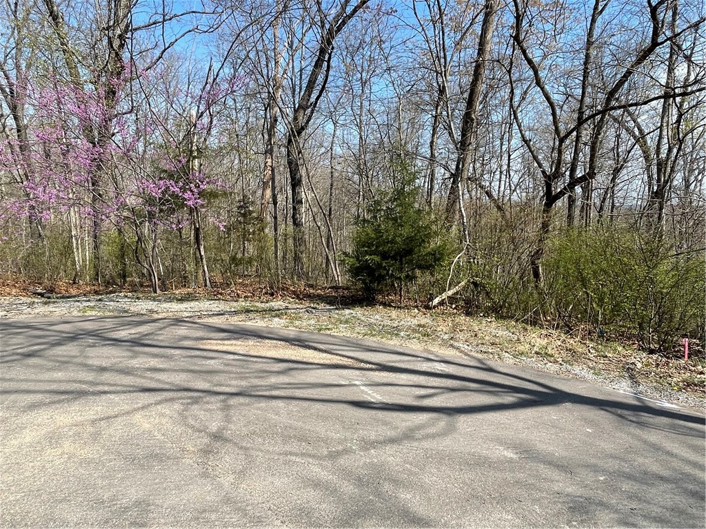 Sewered Lot in Beautiful Bella Vista ā 0.70 Acres
Build your dream home on this 0.70-acre lot in the heart of Bella Vista! Sewer access is available at the street, making development convenient and affordable. Located near top-rated amenities including Bella Vista Country Club & Golf Course, Tanyard Creek Nature Trail, The Practice Center, and Lake Windsor Boat Ramp. Plus, the upcoming Oz Trail Bike Parkāslated for construction in spring 2025āis just minutes away.
Enjoy a lifestyle surrounded by nature, recreation, and a welcoming community. Donāt miss this opportunity to own a piece of this growing Northwest Arkansas gem!