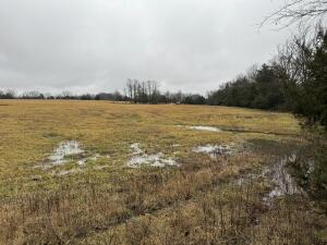 3.61-acre lot located on State Highway 392 in Batavia. Mostly fields that would make incredible hay ground or pasture for your animals. Lots of natural beauty. Acreage offers endless possibilities for your dream property. With unrestricted use, access to utilities, and a prime location just a short drive from town. Call today!!