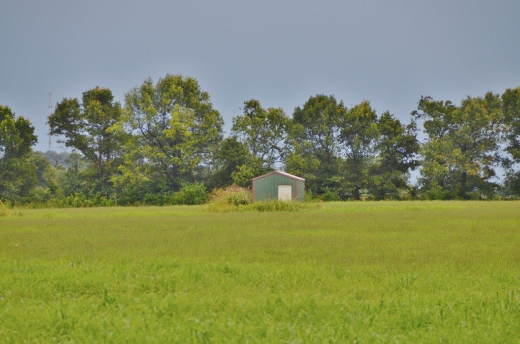 03-18-30-Lowell - Land