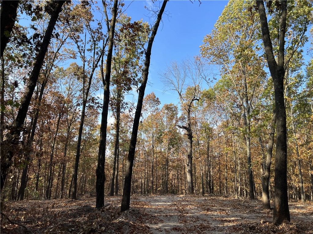Could have a fantastic Sunset View with some clearing. The property features a level secluded building site with lots of hardwood trees, no property restrictions, and electric is available. Call today to schedule a showing.