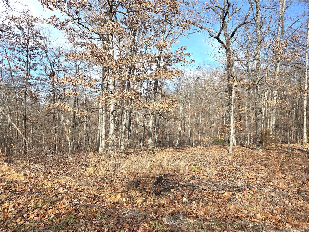 Kenwood Sub Bvv - Land