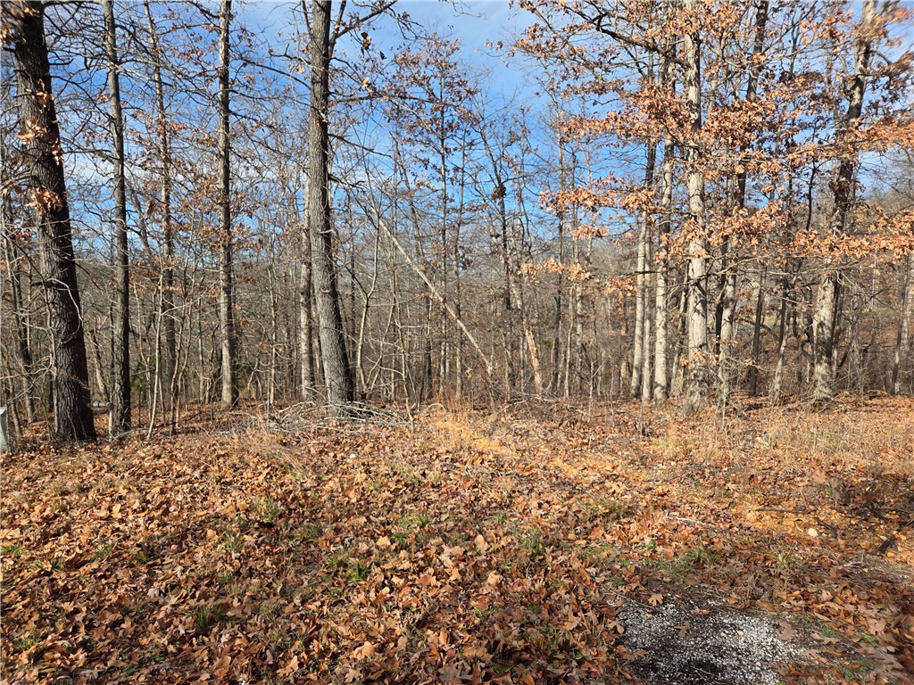 Kenwood Sub Bvv - Land