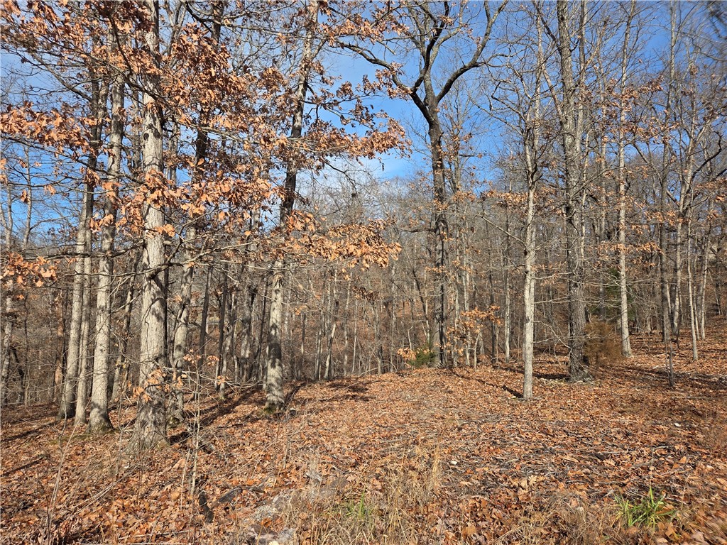 Kenwood Sub Bvv - Land