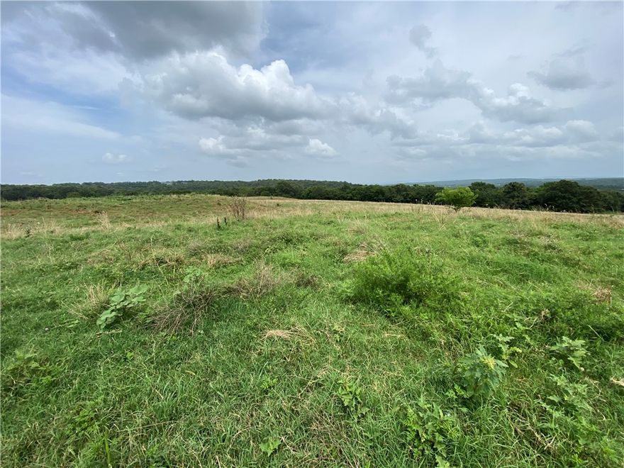 Who says a corner lot has to be in town?  This piece of the American dream has paved road on 2 sides!!  Plenty of building sites for that dream Barndo to come to life.  Make those Pinterest boards come to life!  Lots of elbow room, bring on the In-laws or even cousin Eddy and his RV.  Ponds and a hay field make this a shoe in for livestock.  Currently part of a larger tract, new parcel # and exact acreage TBD with new survey.  Water and Electricity at road, Buyer to satisfy themselves with accessibility.  Actual acreage and new parcel #  TBD w/ new survey.  See also MLS # 1315219