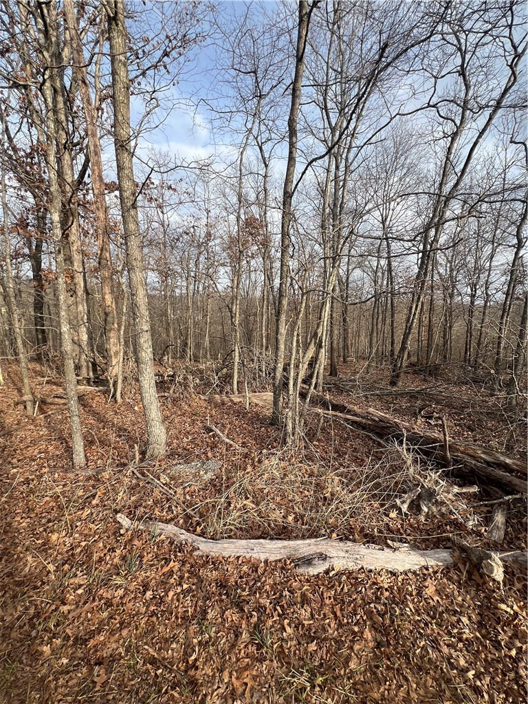 Macon Sub Bvv - Land