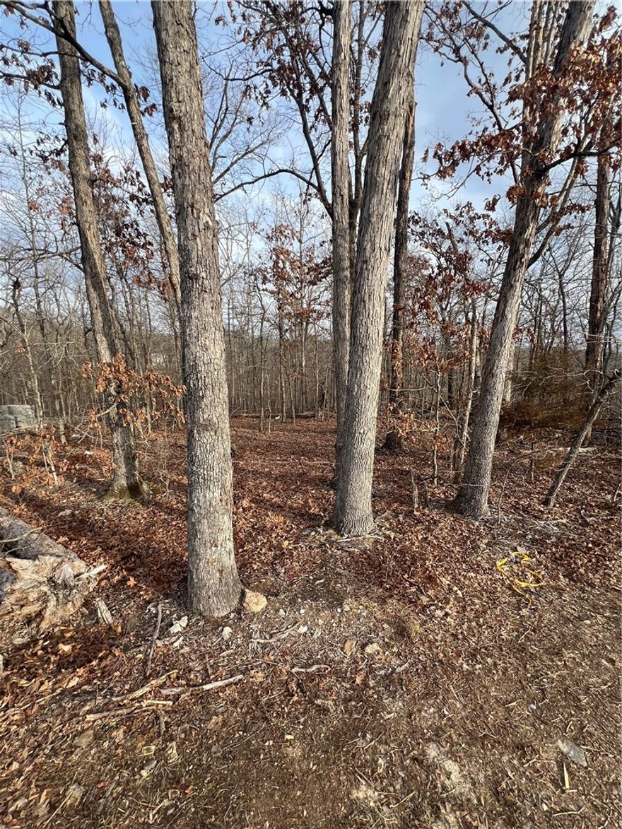 Level lot in the heart of Bella Vista, perfect for building.  Easy and fast access to I-49 and Bella Vista Parkway, gaining you quick access to everything NWA.  Walking and biking distance to Down Under MBT and the newly built bike park, OZ Trails Bike Park, that features 20 miles of bike trails, High-speed quad lift, hiking trails, restaurants and a beer garden.  All the golf courses are within 10-15 minutes.  Additional Bella Vista amenities include rec centers, lakes, swimming, boating, kayaking, fishing and, of course, all the MBT in the Back 40, for starters. Located in Bentonville school district, it is also just minutes away to Sugar Creek Center for groceries, banks and restaurants.   This central location will tick all the boxes!
